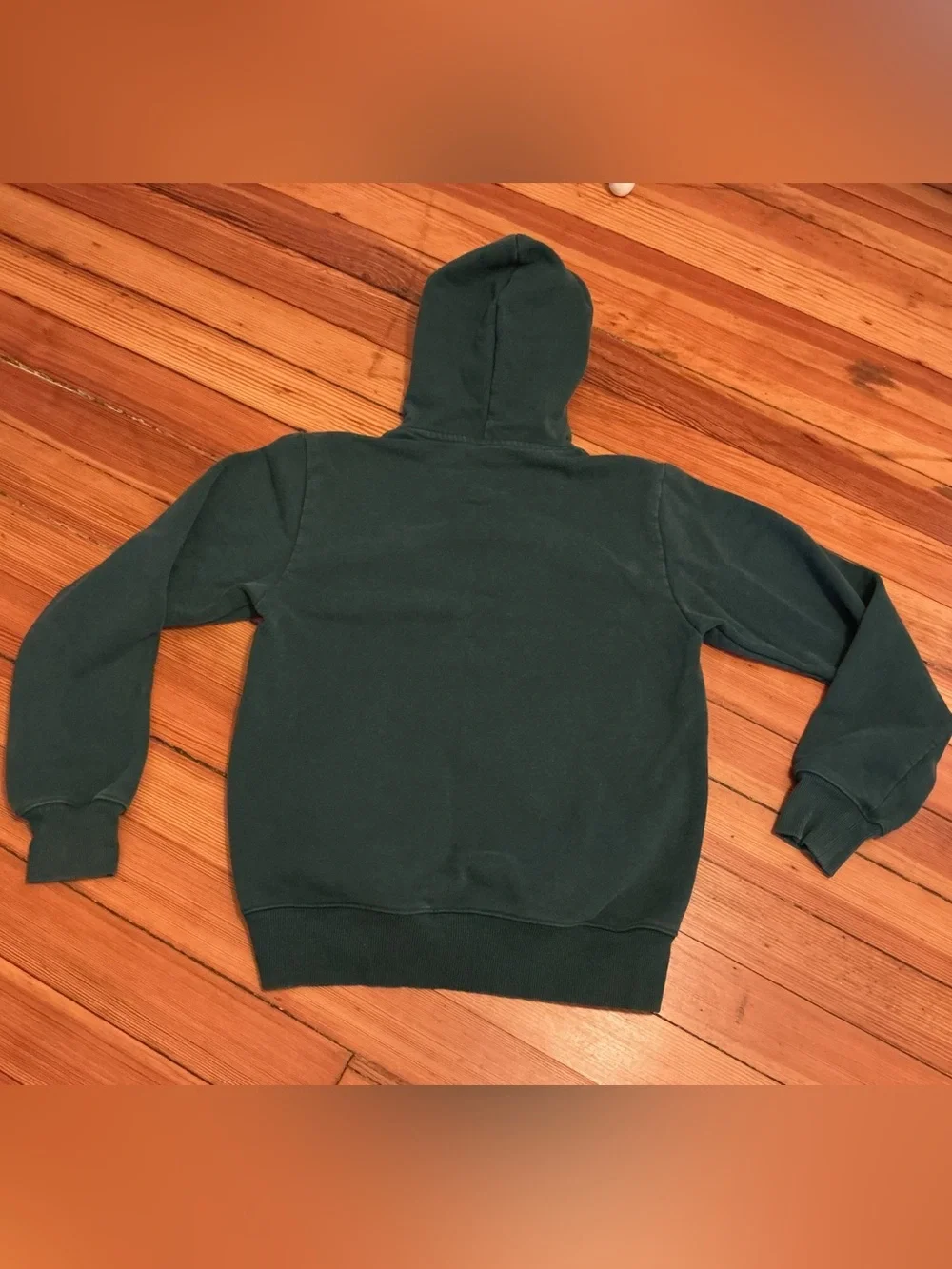 North Face Thick Hoodie